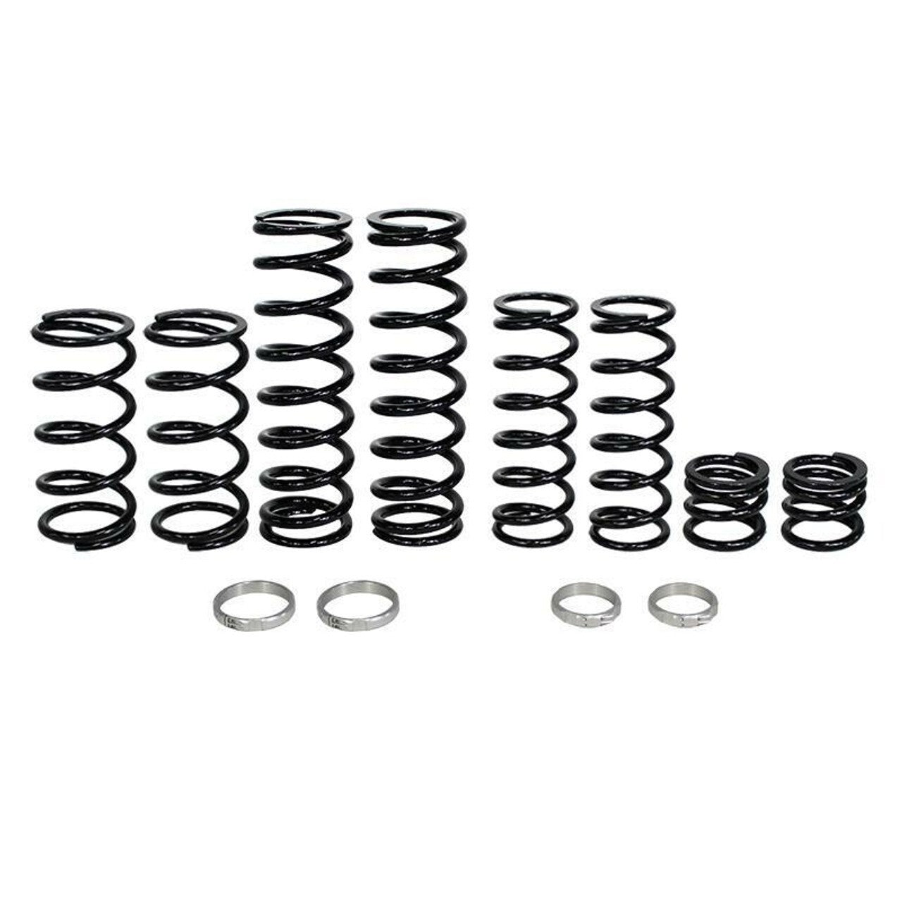Polaris RZR Pro XP Dual Rate Spring Kit