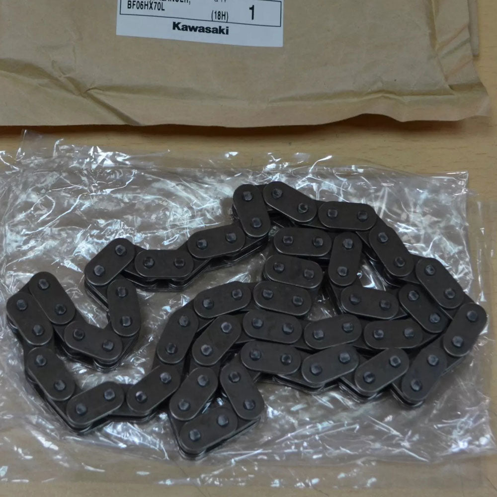 Kawasaki Balancer Chain