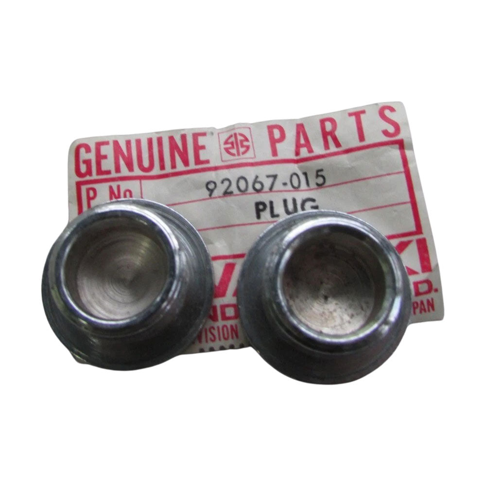 Kawasaki Carburetor Plug
