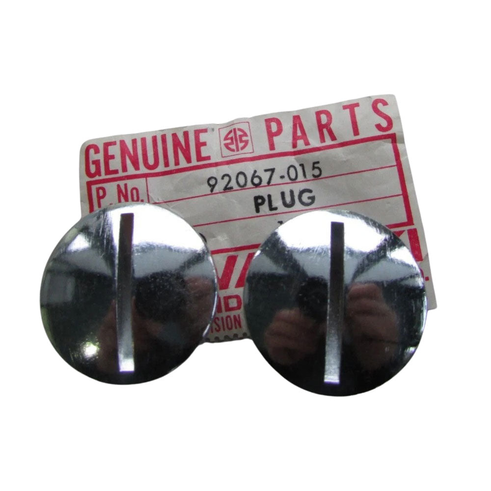 Kawasaki Carburetor Plug